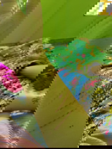 แมวข่วน แมวกัด