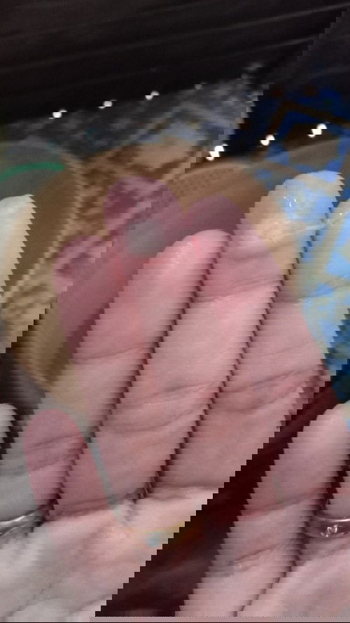 Berlendir hpl 16 mei