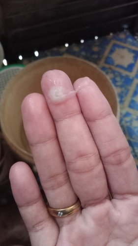 Berlendir hpl 16 mei