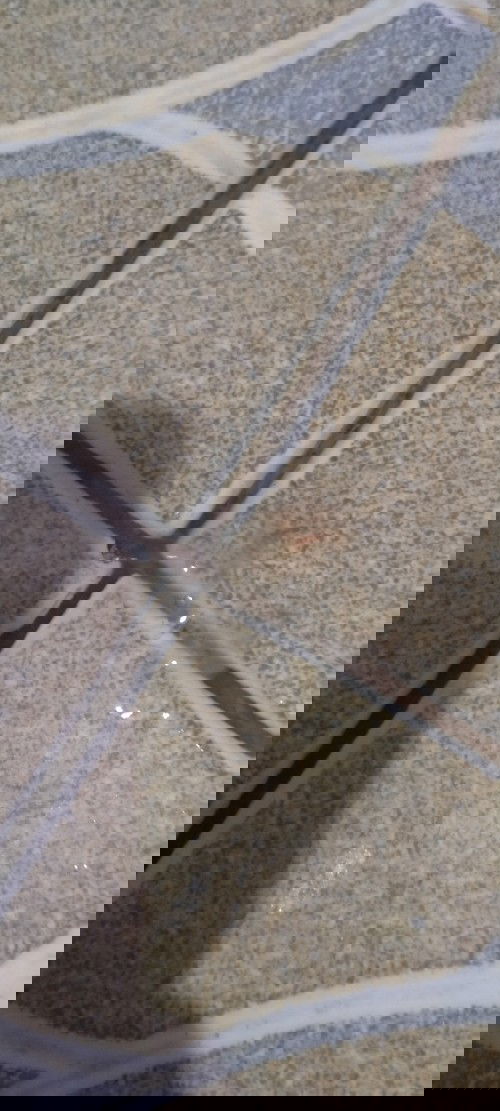 Lendir bening campur merah