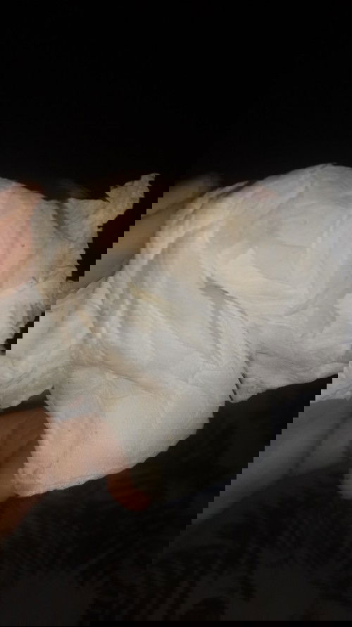 Kira² ini knpa yh Bun???
Hamil 12week 5hari ... Dari vagina itu bun