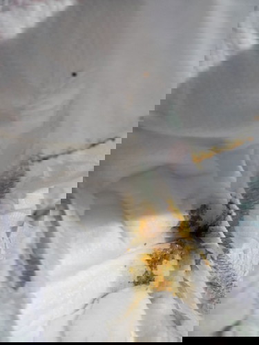 Pahelp naman po 💚