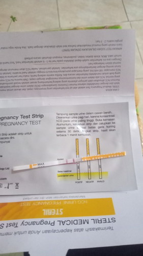 terakhir dtngg bln tgl 5 april_10
Nah kmrn tngll 17 Mei di cek sdh positif,,brp usia hamil saya,??