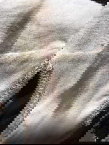 39weeks&2days Pregnant