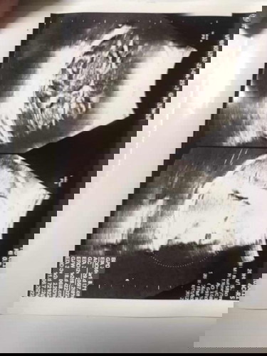 Kapan lahirnya dedekk gasabar deh