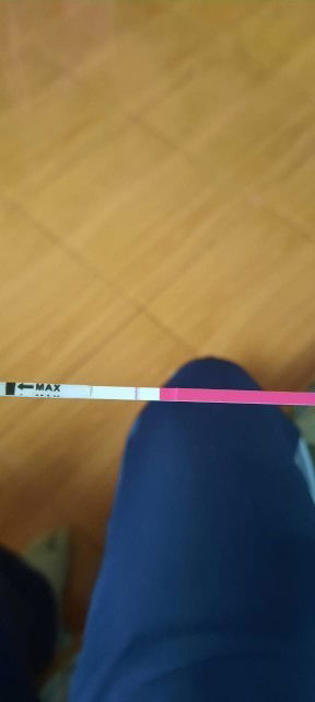 Tespek pgi kena sabun terus jatuh kena air, di celup urin gk keluar hasilnya