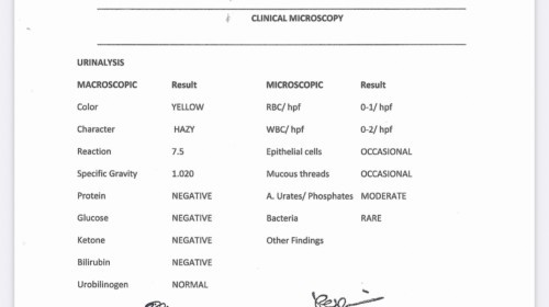 Urinalysis
