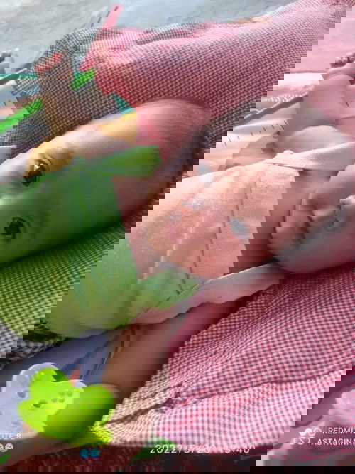 Tumbuh gigi usia 5 bln