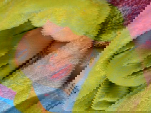 Anakku Sudah Bersama Nabi Ibrahim #2