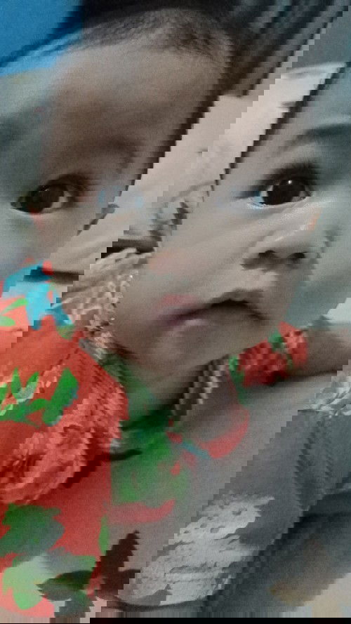 Puppy bayik mpasi 6bulan