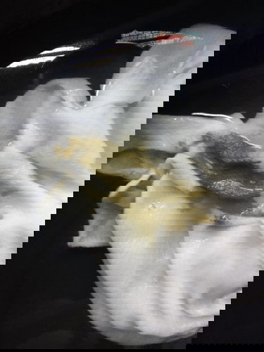 Normal po ba Yung greenish-watery na poop ni baby. 2months old. Mix fed. S36 and breastmilk