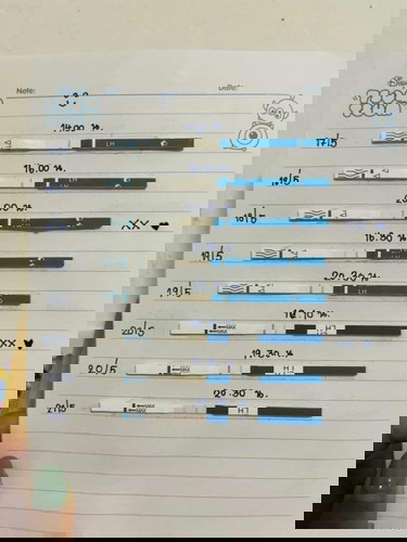 ที่ตรวจไข่ตก+app