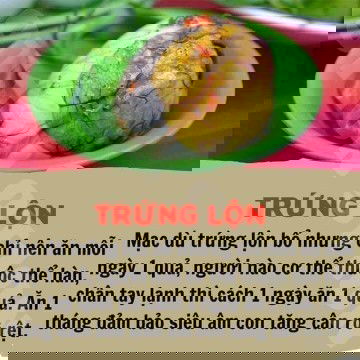 8 món ăn mà giúp con tăng kg nhanh vsof tháng cưới thai kỳ
Mẹ ăn chỉ vào con ko vào mẹ
Các mom đang