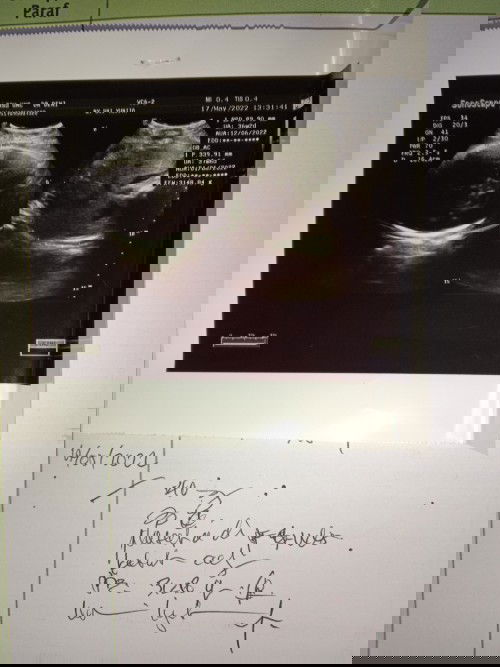 Tolong bantu jawab bun