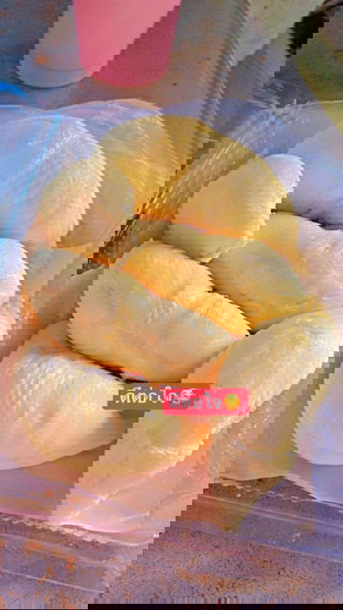 ท้องแล้วชอบกิน ทุเรียน