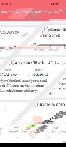 เเม่ๆกี่สัปดาห์กันเเล้วคะ