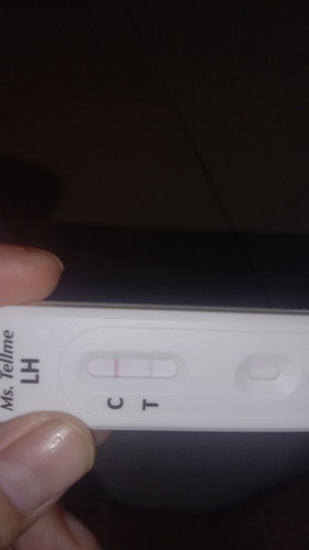 opk positif ke negative