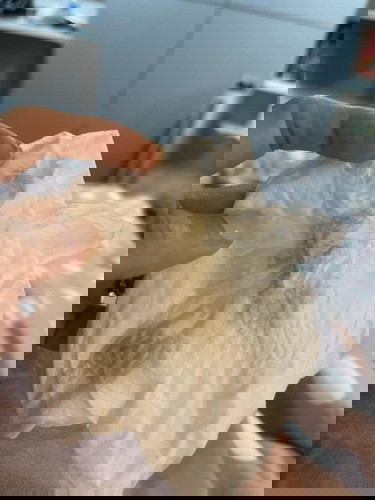 ประสบการณ์แท้งคุกคาม