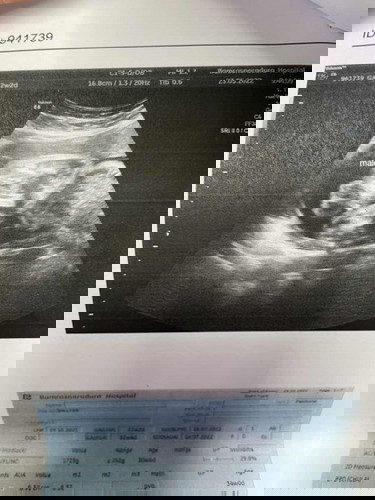 ทีมกรกฎาคม65