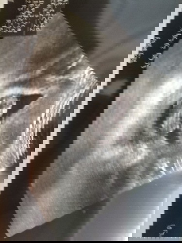 น้องกลับมาแล้วคะ