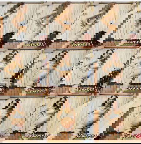 38 weeksแล้วยังไม่มีวี่แววจะคลอดเลยค่ะ กำหนดคลอด มิย. มีใครคลอดไปบ้างยังค่ะ