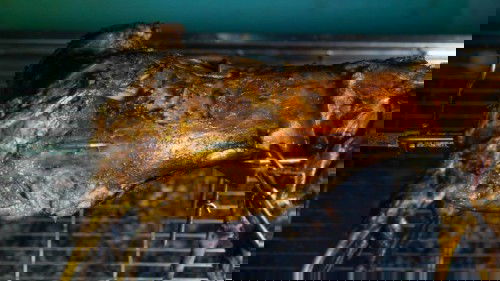 Paket aqiqah dan jasa aqiqah jakarta