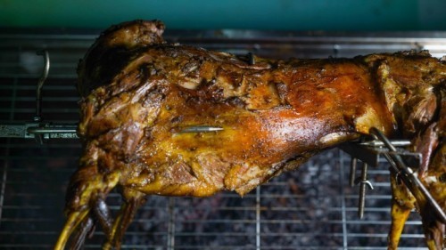 Paket aqiqah dan jasa aqiqah jakarta