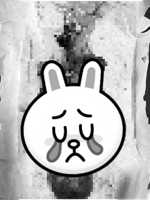 ประสบการณ์การทำงาน