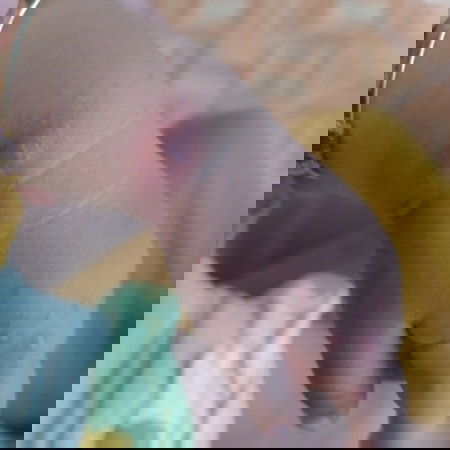 Ini di obati apa ya bund. Mulai menyebar, kata orang Jawa ini suleten