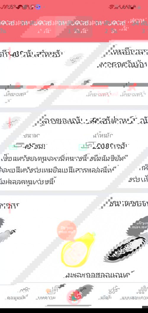 34 วีค ท้องเริ่มลด