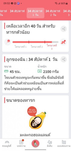 34 วีค ท้องเริ่มลด
