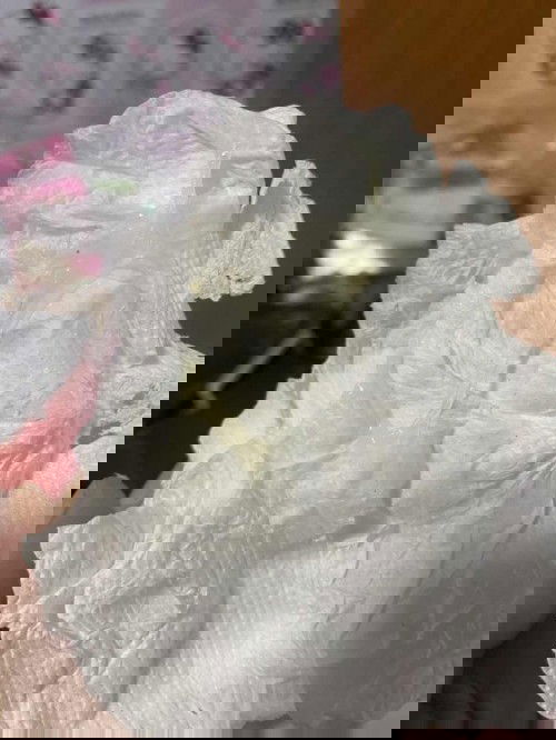 ขอสอบถามแม่ๆแบบนี้คือมูกใสไหมค่ะ ท้อง36วีค3วัน