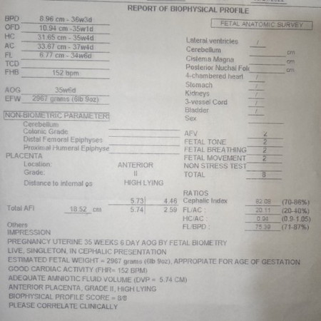 Bps Ultrasound
