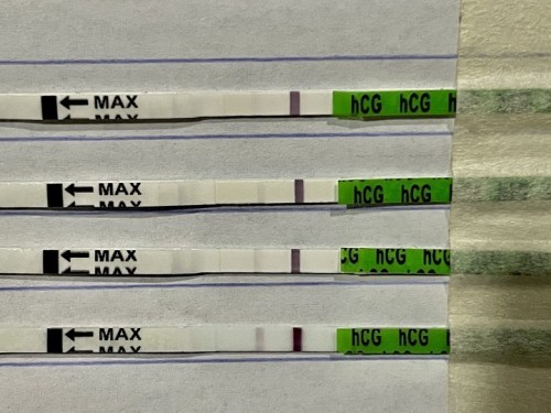 ตรวจทดสอบการตั้งครรภ์ ขึ้น 2 ขีดจางๆ มีโอกาสท้องไหมคะ??
