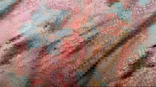 มีเลือดออกเป็นลิ่ม