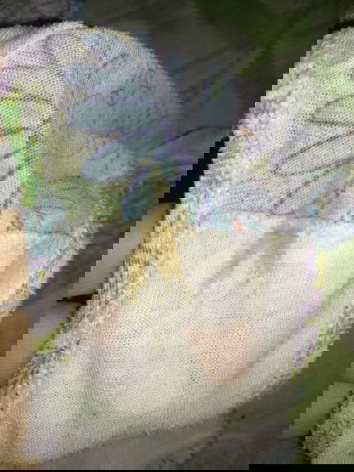 Spotting at 29 weeks pregnancy?