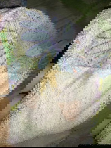 Spotting at 29 weeks pregnancy?