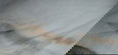 Tanong ko lang po normal lang po ba itong discharge almost 3weeks pregy na po me.