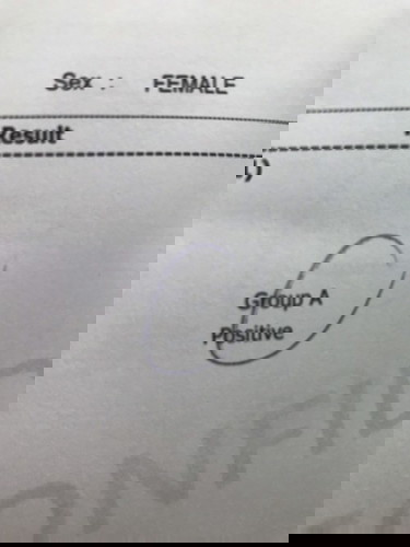 โรคชีฟีลิสแอบกังวลกลัวเชื้อยังยุ