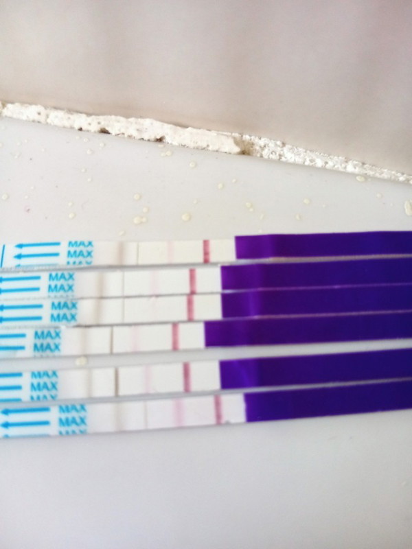 test ujian kehamilan hai nak tanya, sepatutnya harini sy per