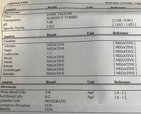 urinalysis result