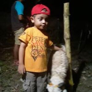 Tri Muryaningsih profile icon