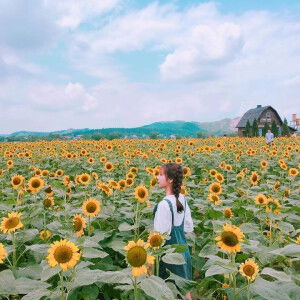 Kiều Kiều profile icon