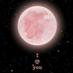 hathanhthanh profile icon