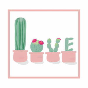 Liễu anh profile icon