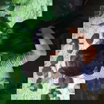 Gy Gomez profile icon