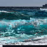 Steve Falc profile icon