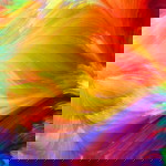 น้องดีนี่เพชรจ้า profile icon