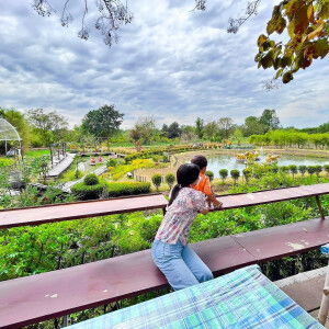 Bunny_Drops profile icon