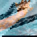 Lê hồng bích thanh profile icon